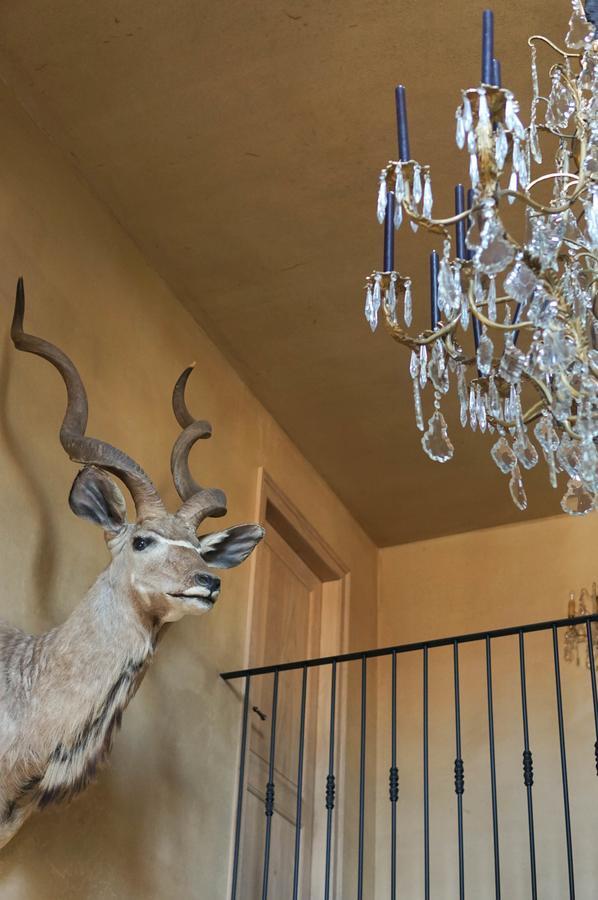 Boutique Hotel De Brakelhoen Zewnętrze zdjęcie